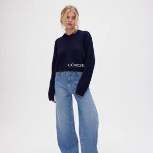 Coyote Navy V-Neck Sweater for Women